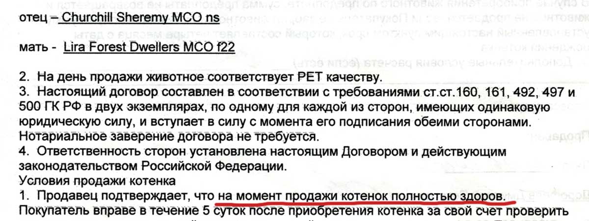 Документ