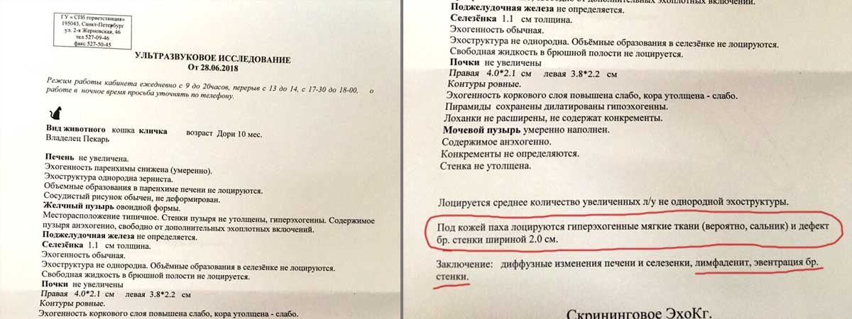 Документ